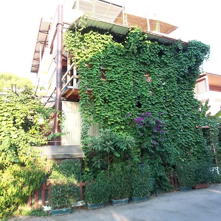 Izmir Seferihisar Apartment