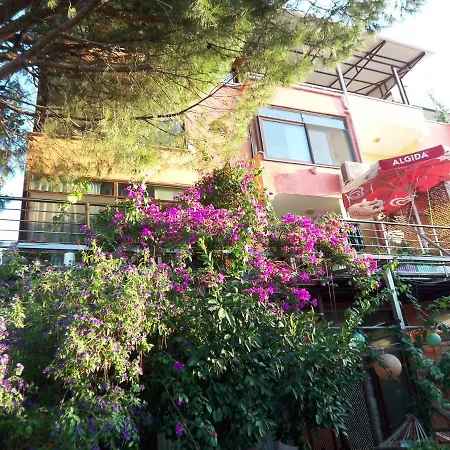 Izmir Seferihisar דירה