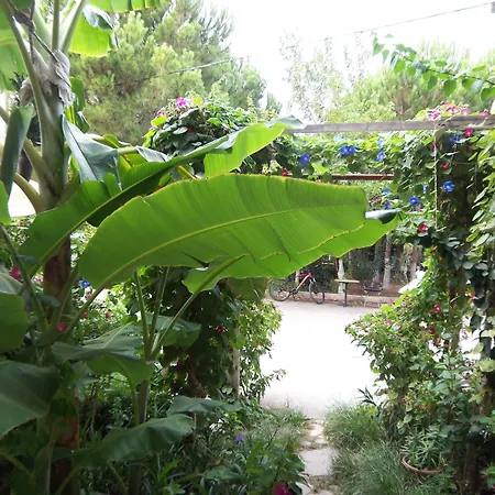 Apartment Izmir Seferihisar *