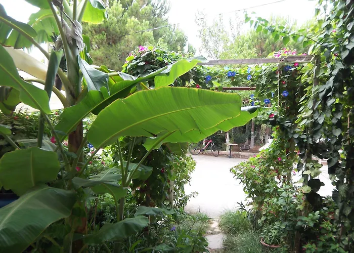 Apartmán Izmir Seferihisar *